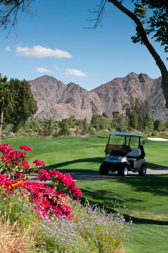 Services Golf Course Consulting